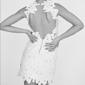 SAYLOR Jessa Lace Mini dress- size S. NWT